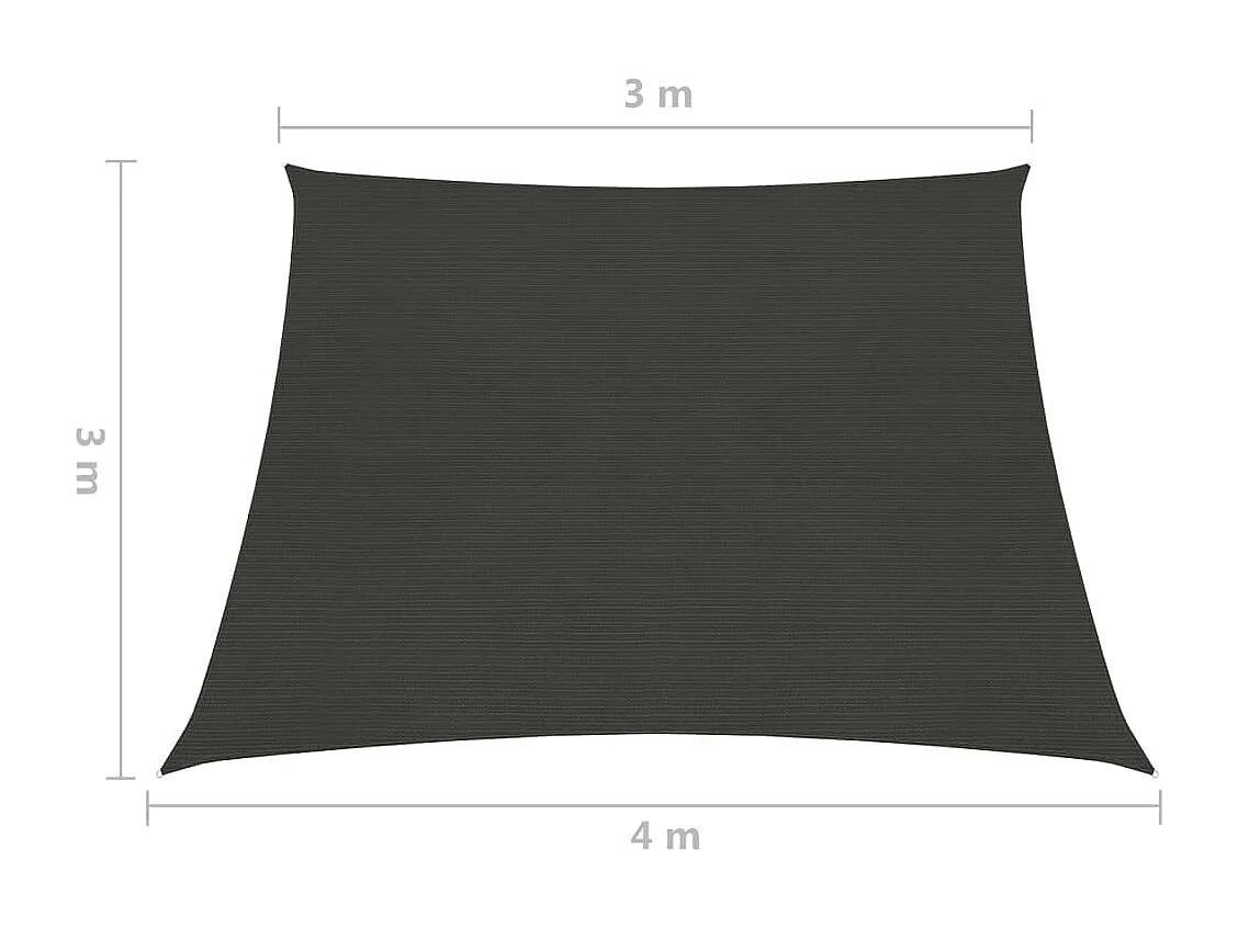 Voile d'ombrage 160 g/m² Anthracite 3/4x3 m PEHD