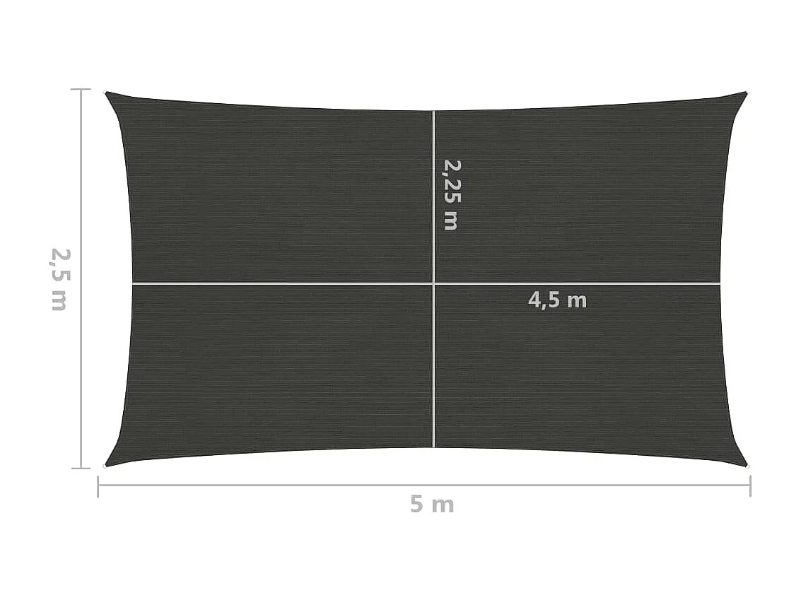 Voile d'ombrage 160 g/m² Anthracite 2,5x5 m PEHD