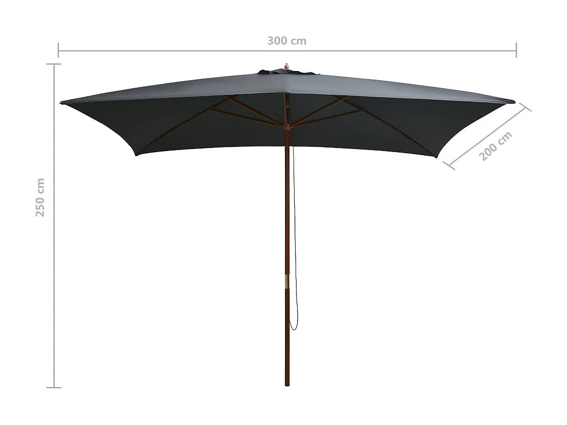 Ombrellone da esterno con palo in legno 200 x 300 cm Antracite