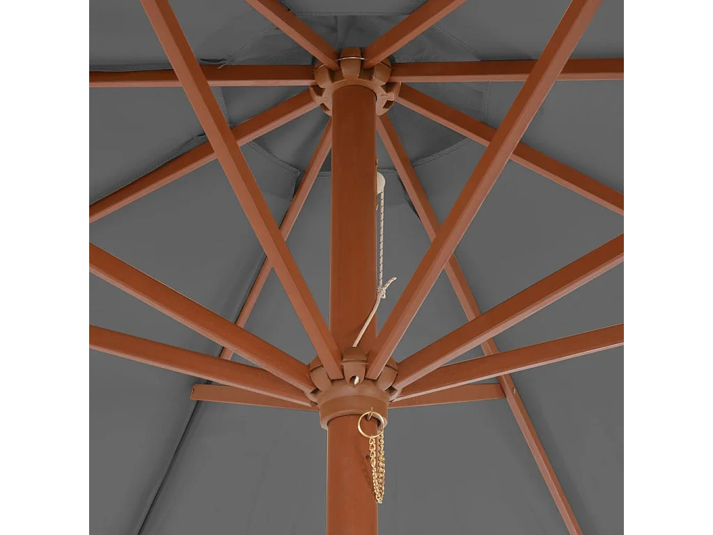 Parasol d'extérieur avec mât en bois 300 cm Anthracite