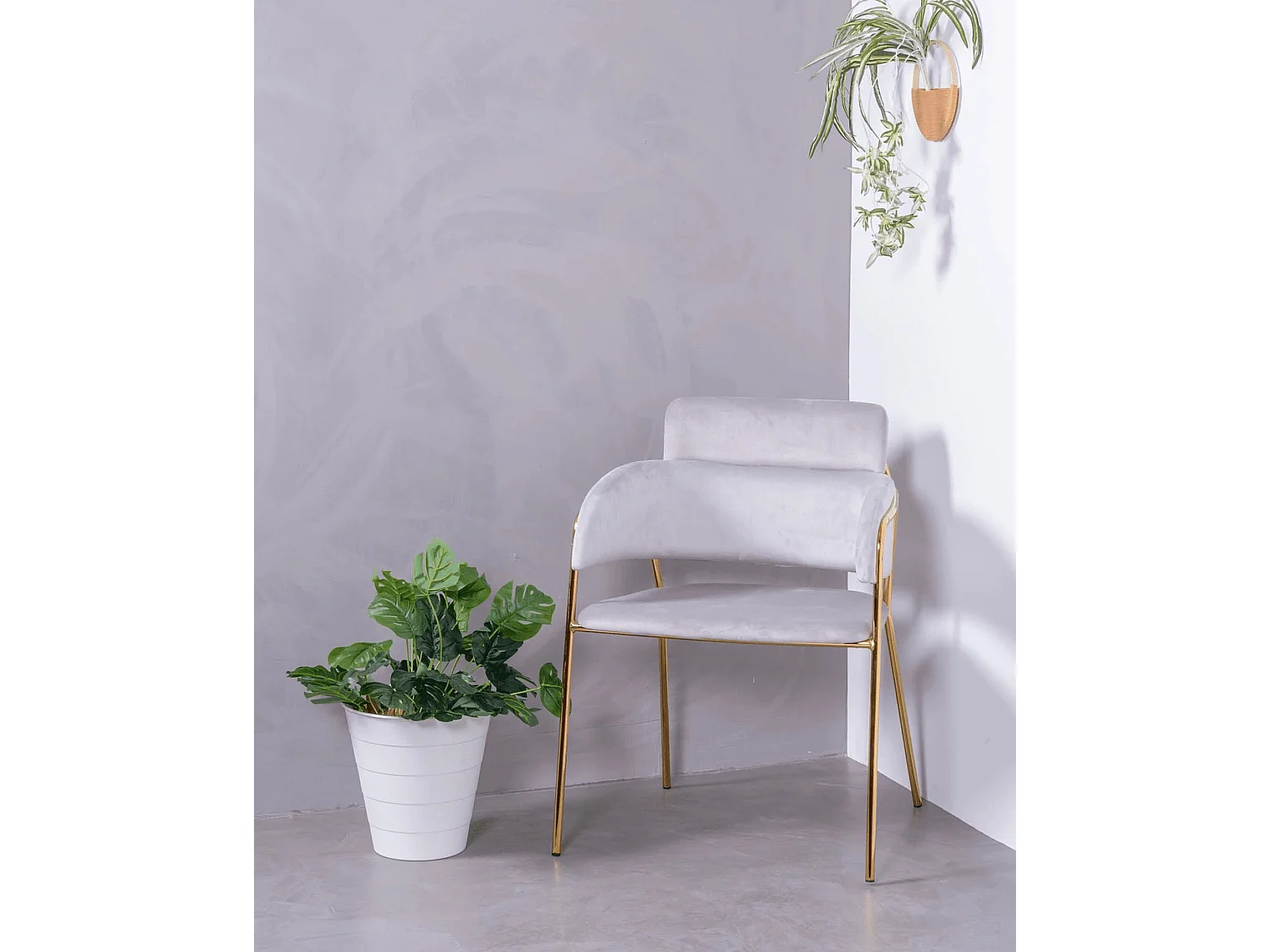 Lot de 2 chaises design recouvertes de velours - Cruiser - Gris