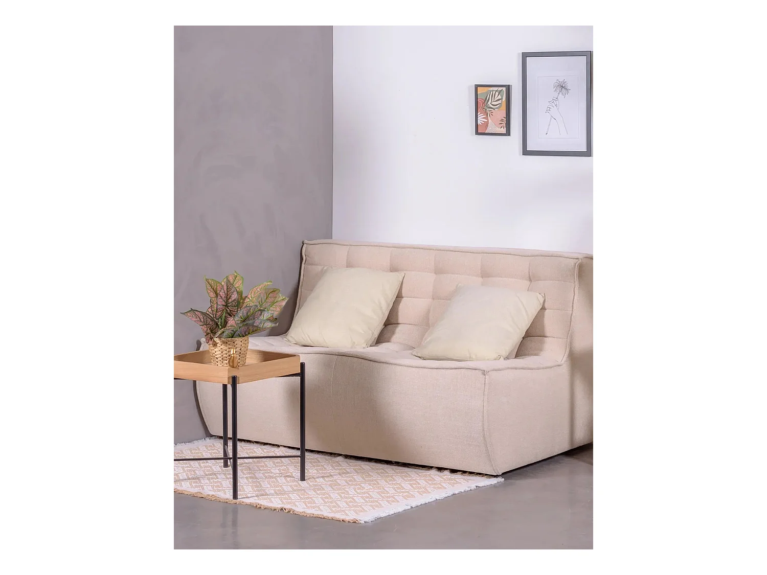 2-zitsbank bekleed met katoen - Lion - Beige