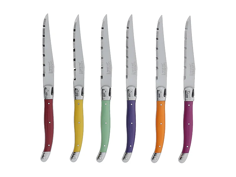 Coffret 6 couteaux laguiole irise assortis