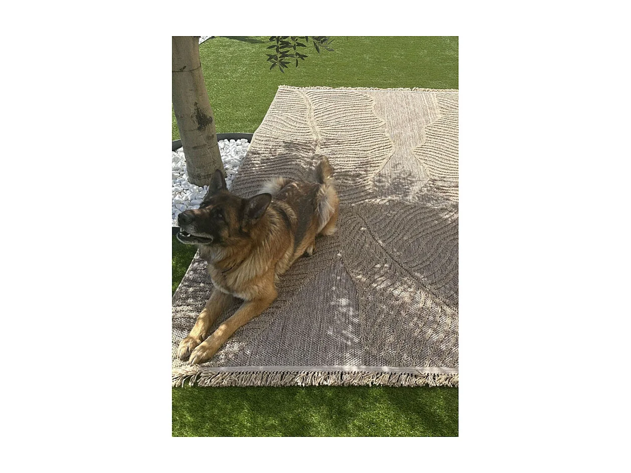 Tapis extérieur effet intérieur jute feuille beige CASSIS 96 Beige 200*290