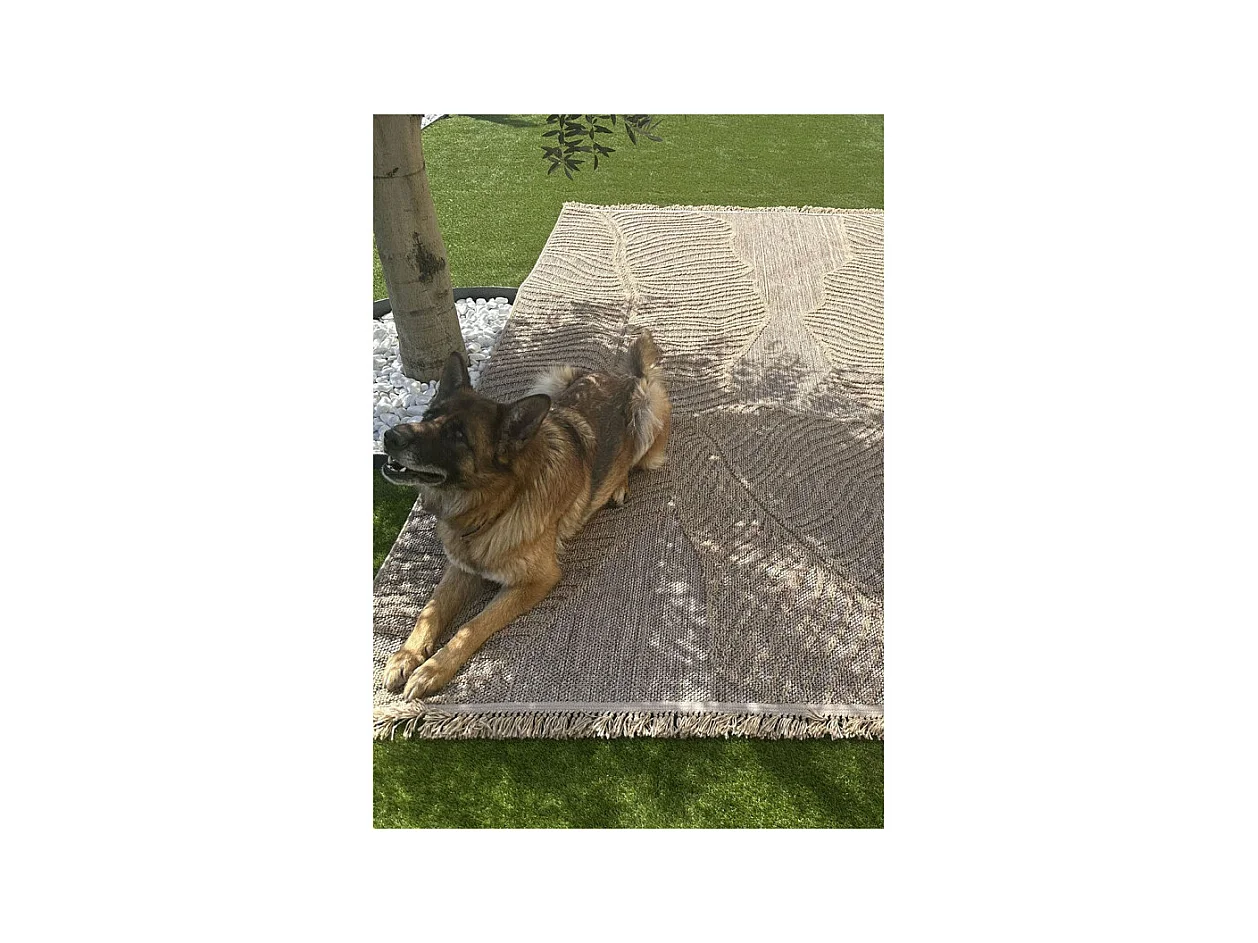 Tapis extérieur effet intérieur jute feuille beige CASSIS 96 Beige 200*290