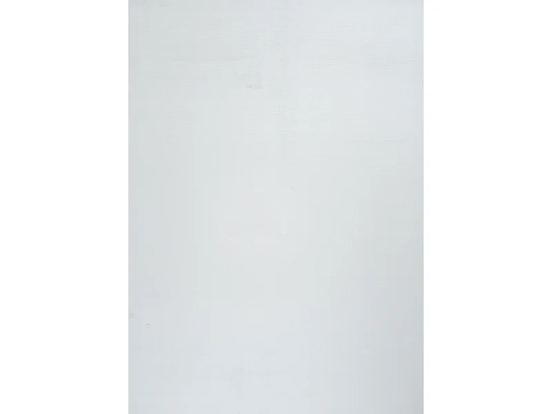 Tapis lavable uni - VEGAS Blanc 200*290