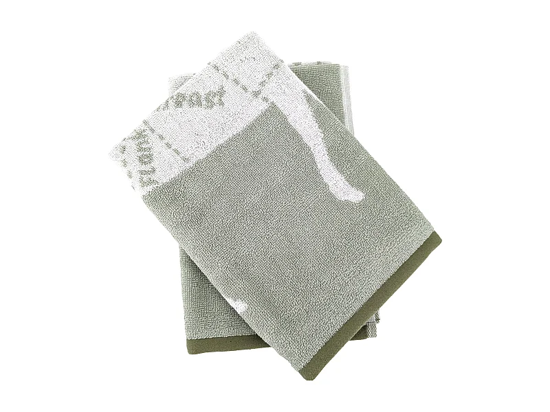 Lot de 2 torchons de cuisine pur coton 50x50 cm GRILLUXE vert