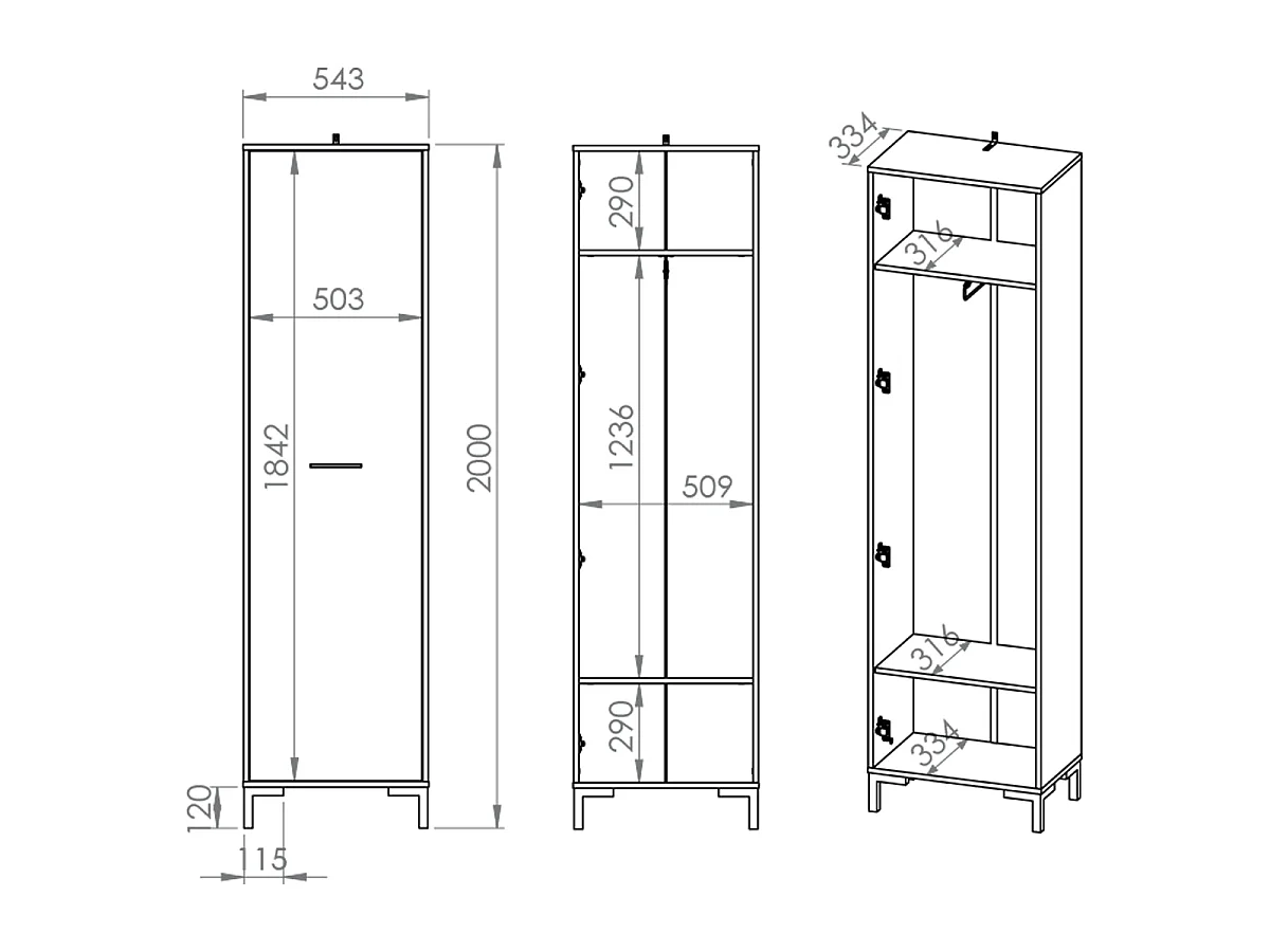 Armadio da ingresso a 1 anta in legno Liora