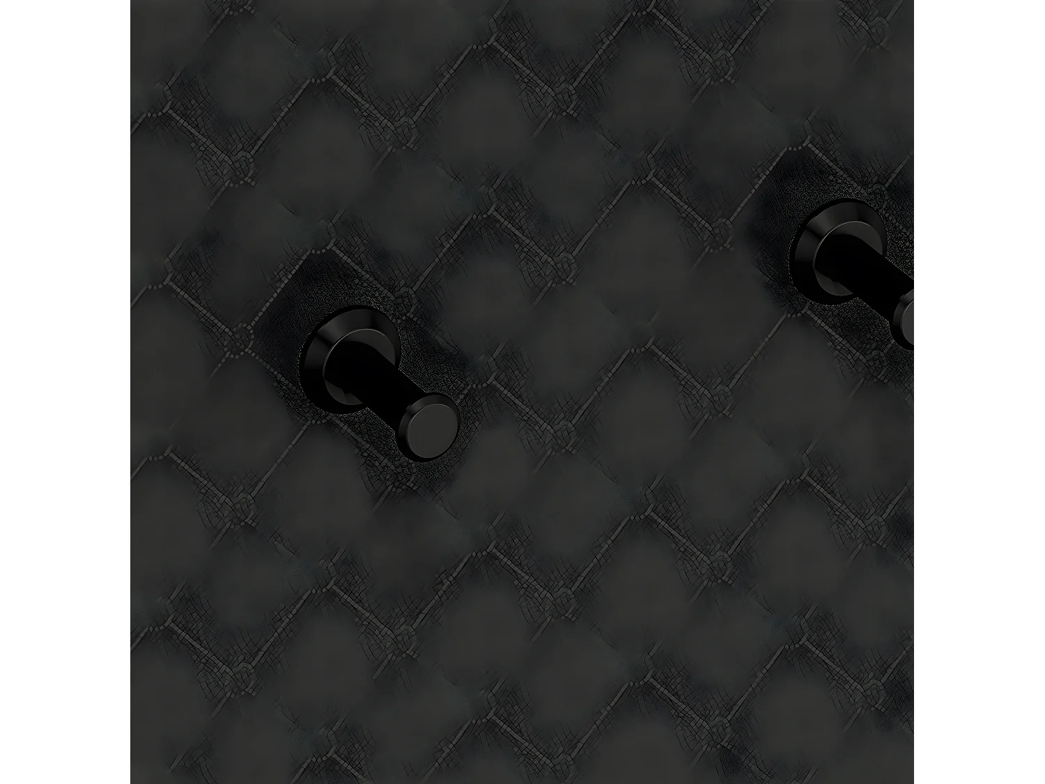 Wandkapstok met 5 knijpers Liora Zwart