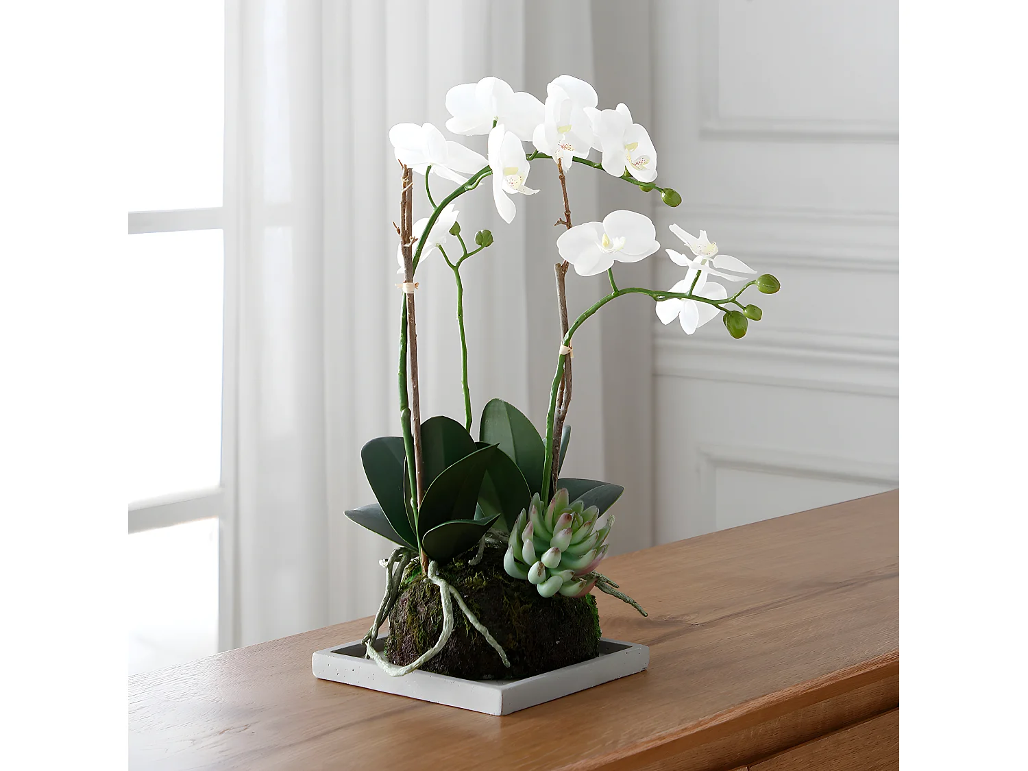 Composition d'Orchidée Artificielle et de Succulentes - Blanc