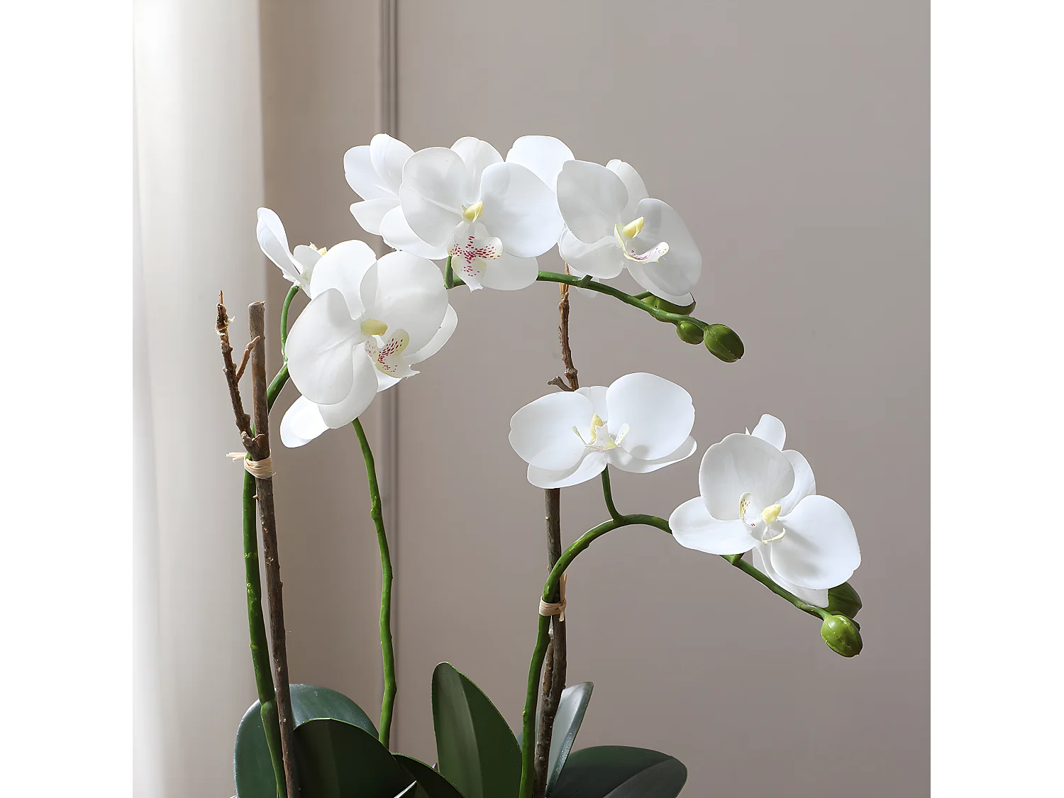 Composition d'Orchidée Artificielle et de Succulentes - Blanc