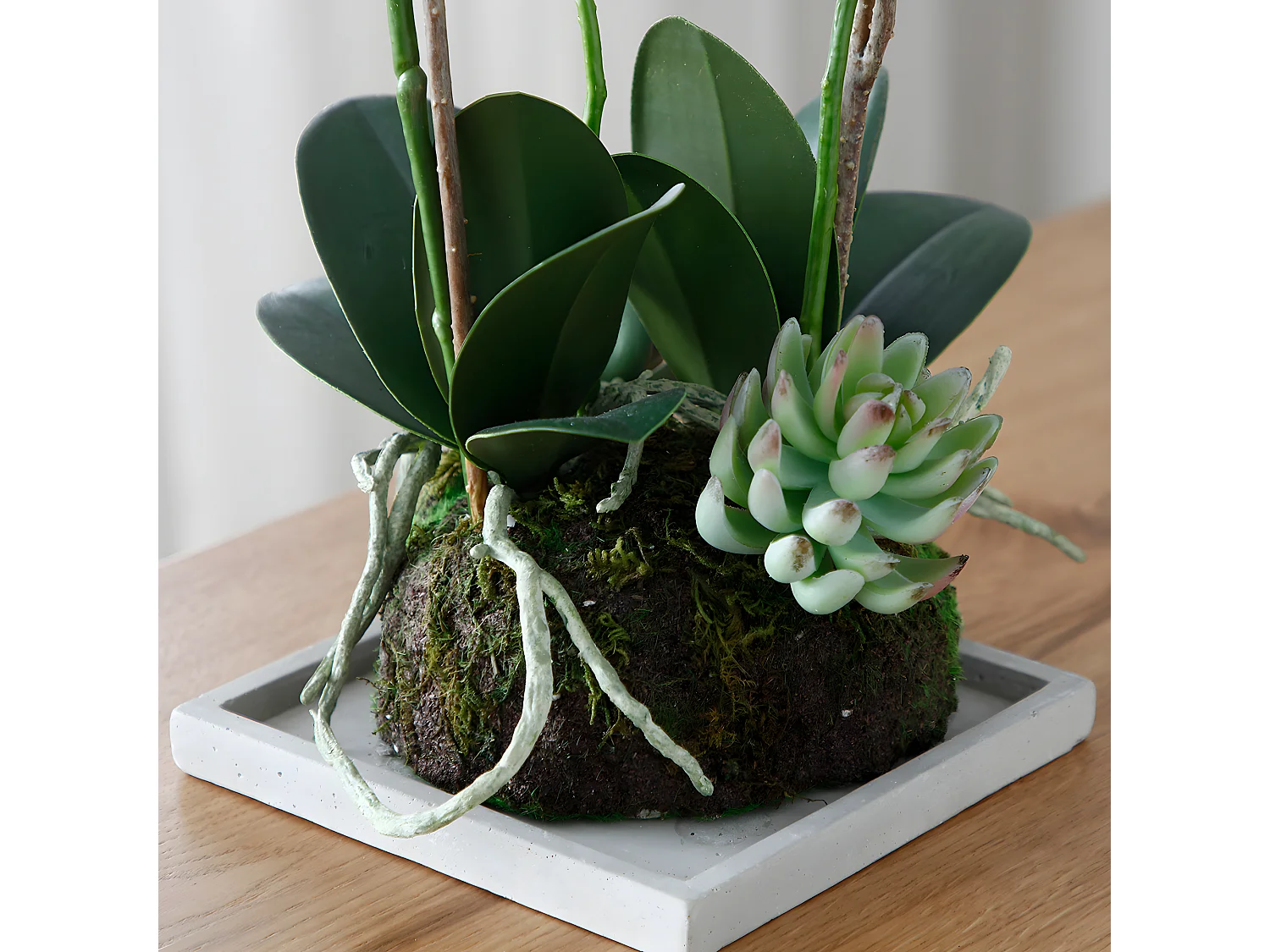 Composition d'Orchidée Artificielle et de Succulentes - Blanc