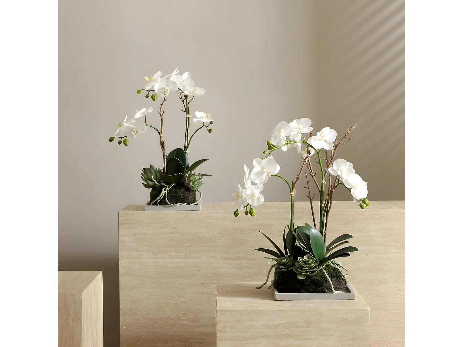 Composition d'Orchidée Artificielle et de Succulentes - Blanc