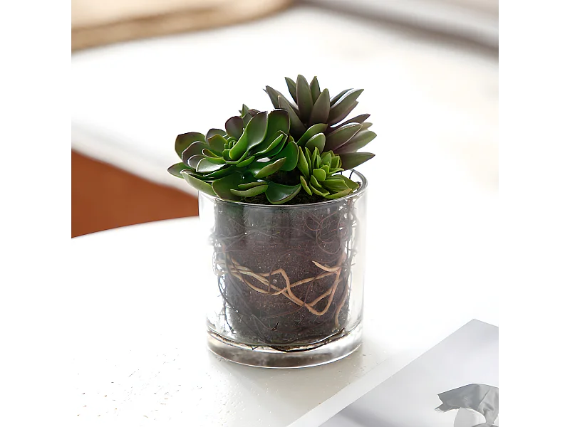Composition de Succulentes en vase transparent Petit Format - Vert