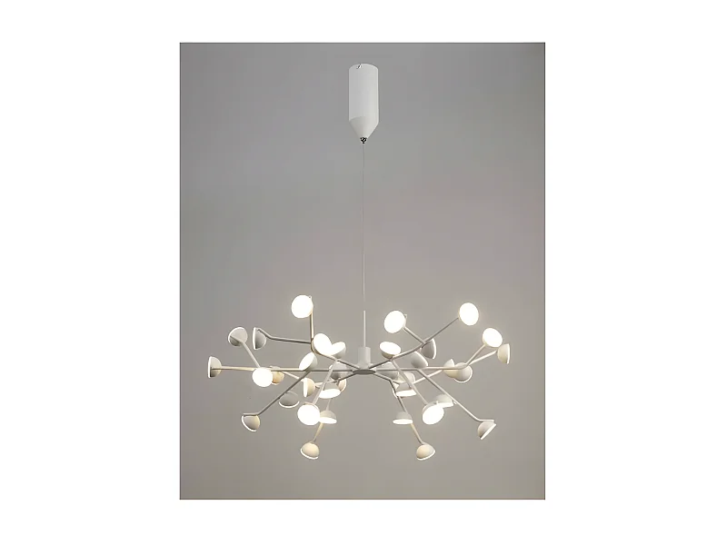 Grande suspension ADN