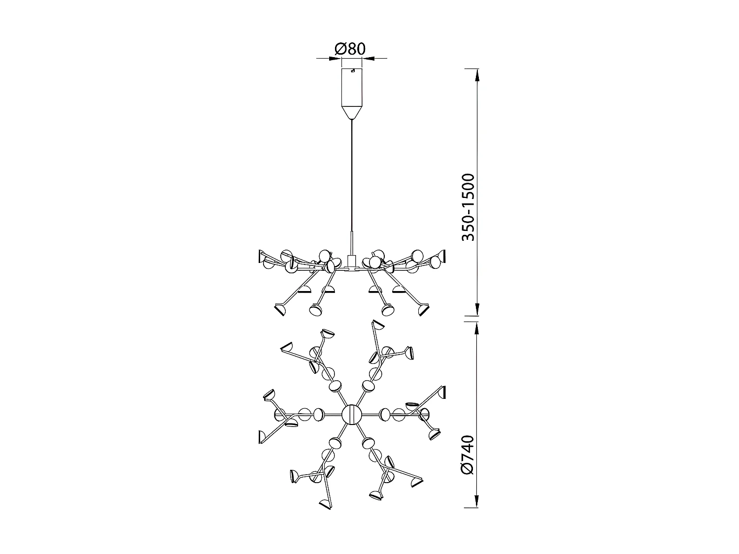 Grande suspension ADN