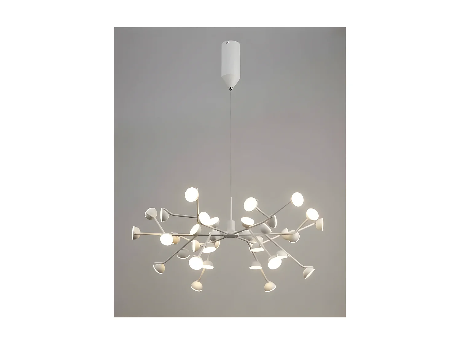 Grande suspension ADN