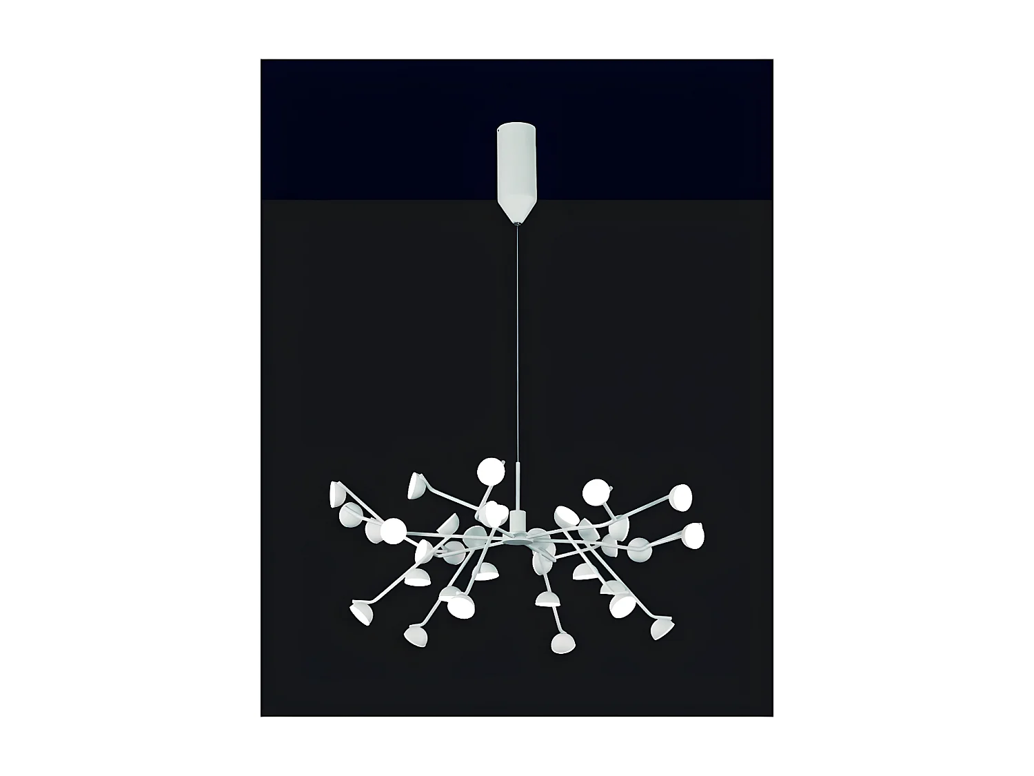 Grande suspension ADN