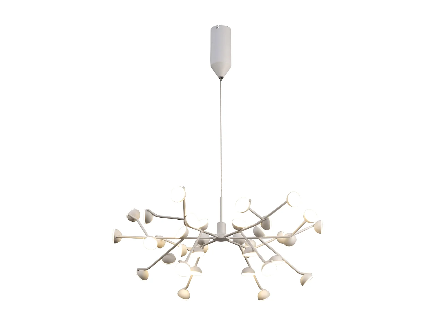 Grande suspension ADN