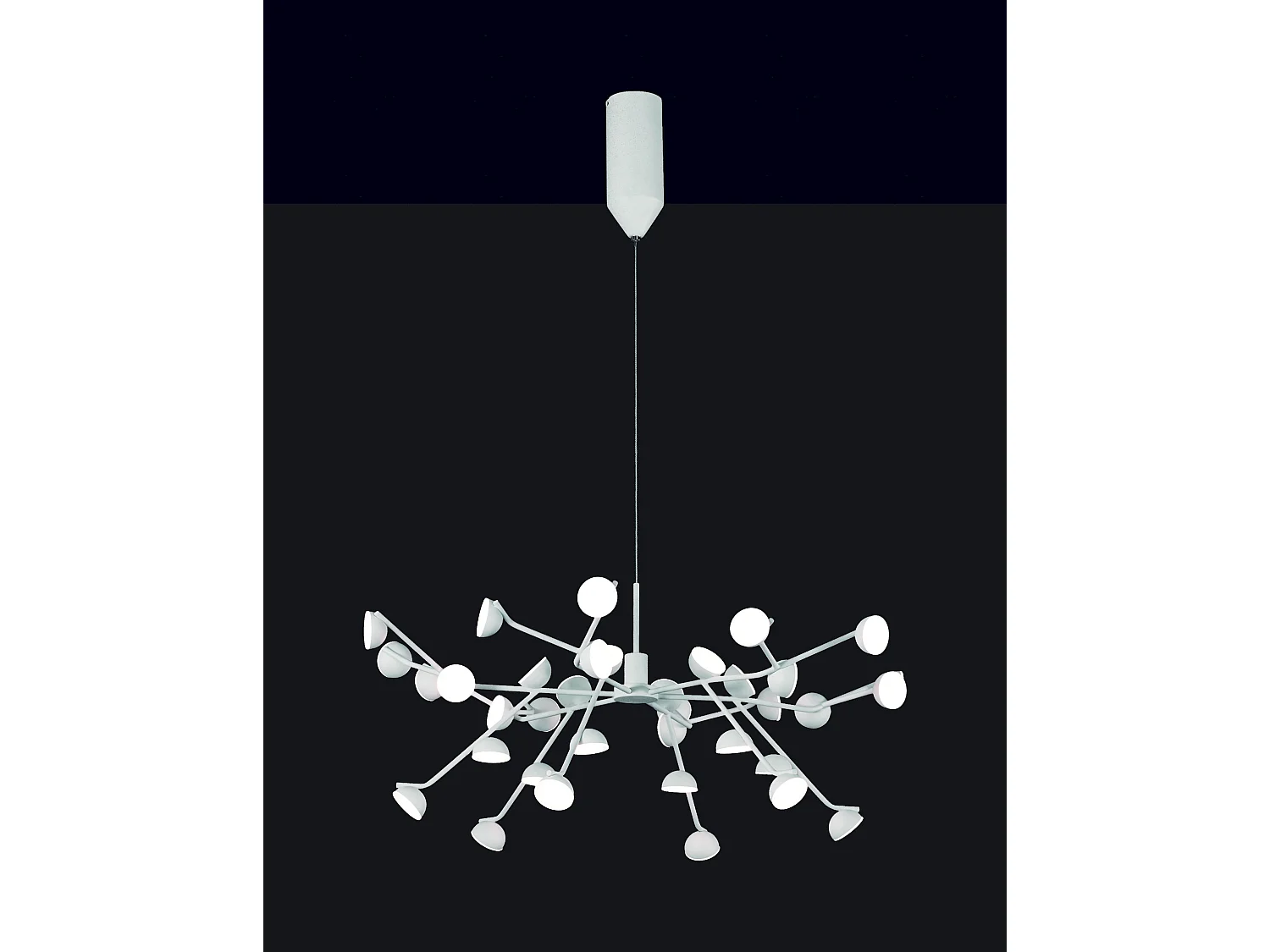 Grande suspension ADN