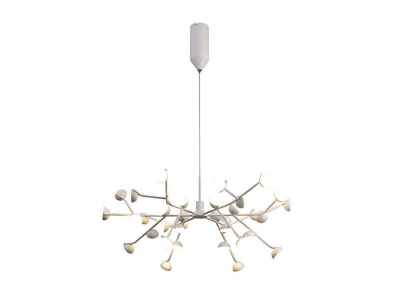 Grande suspension ADN