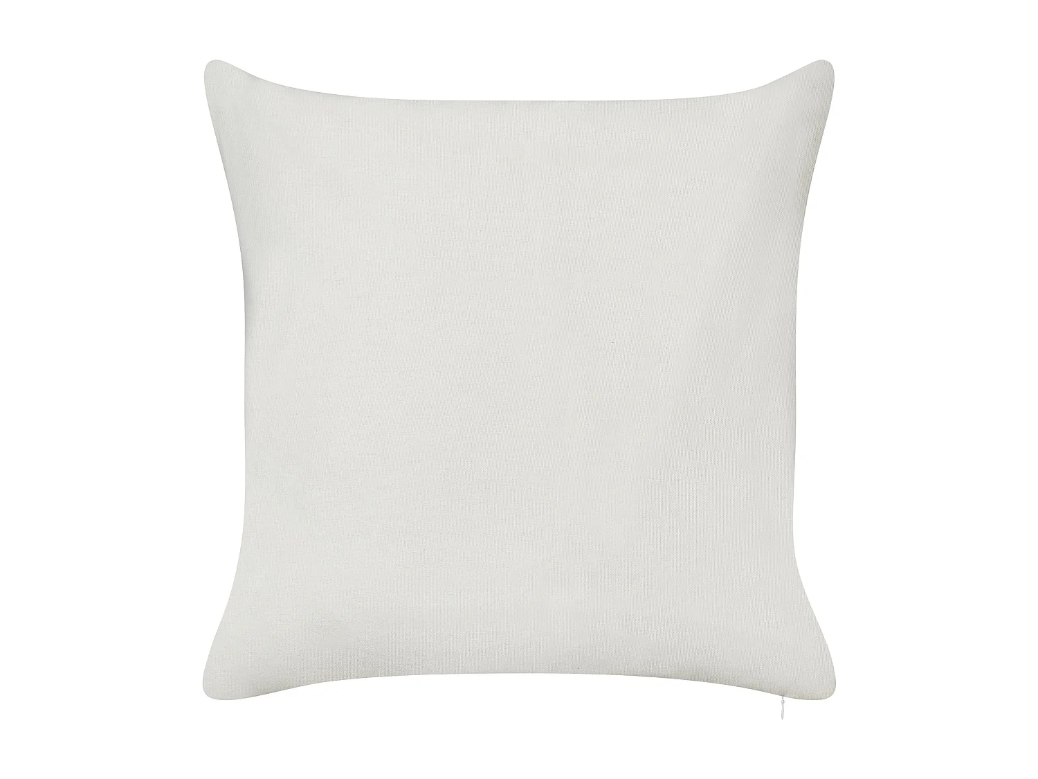 Lot de 2 coussins décoratifs ZALEYA Coton 45 x 45 cm Blanc Motif floral
