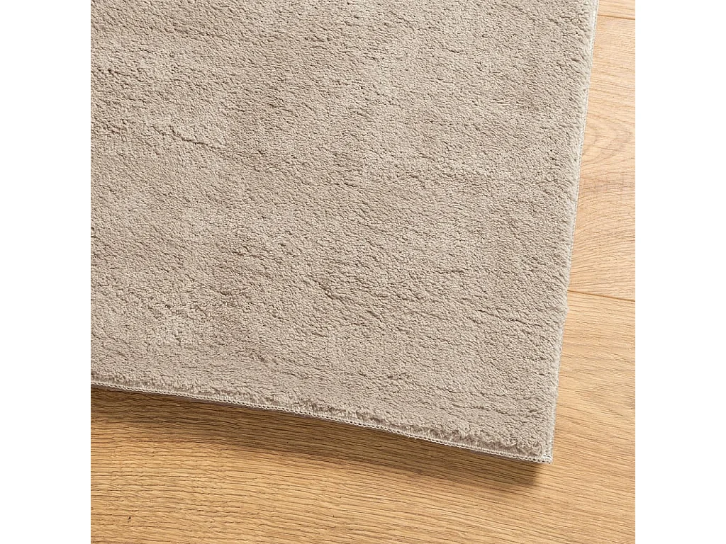 Tapis HUARTE à poils courts doux et lavable sable 120x170