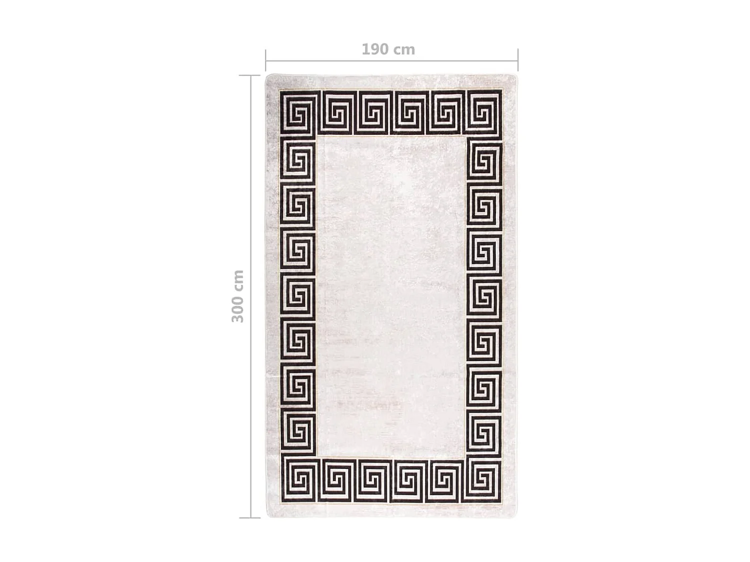 Tapis lavable antidérapant 190x300 Beige clair
