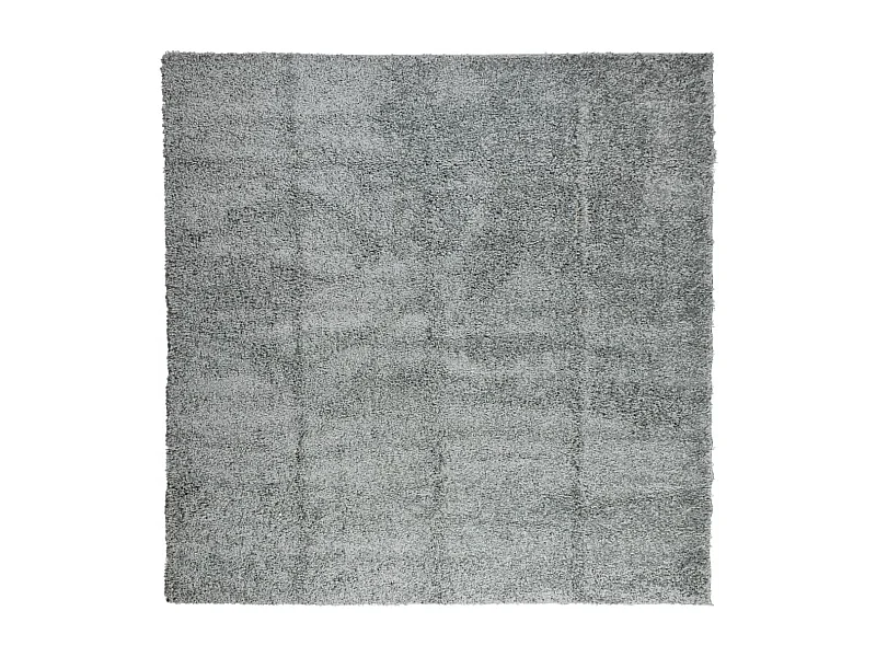 Tapis shaggy à poils longs moderne vert 160x160