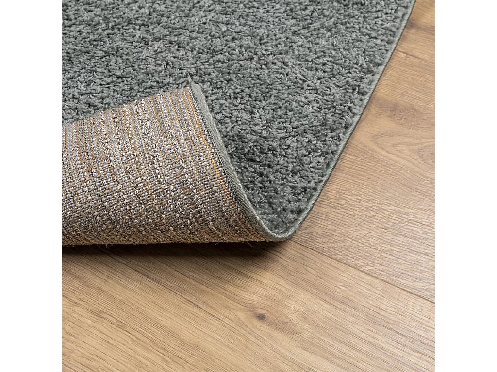 Tapis shaggy à poils longs moderne vert 160x160