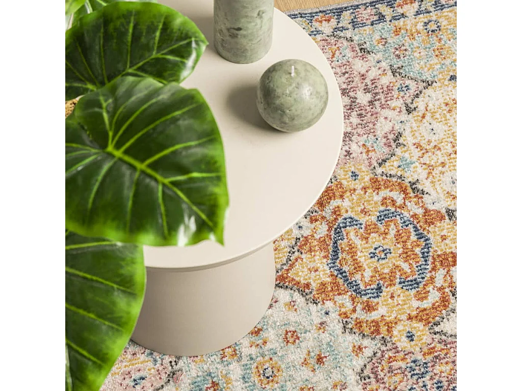 Tapis ARBIZU intérieur extérieur design vintage 80x150