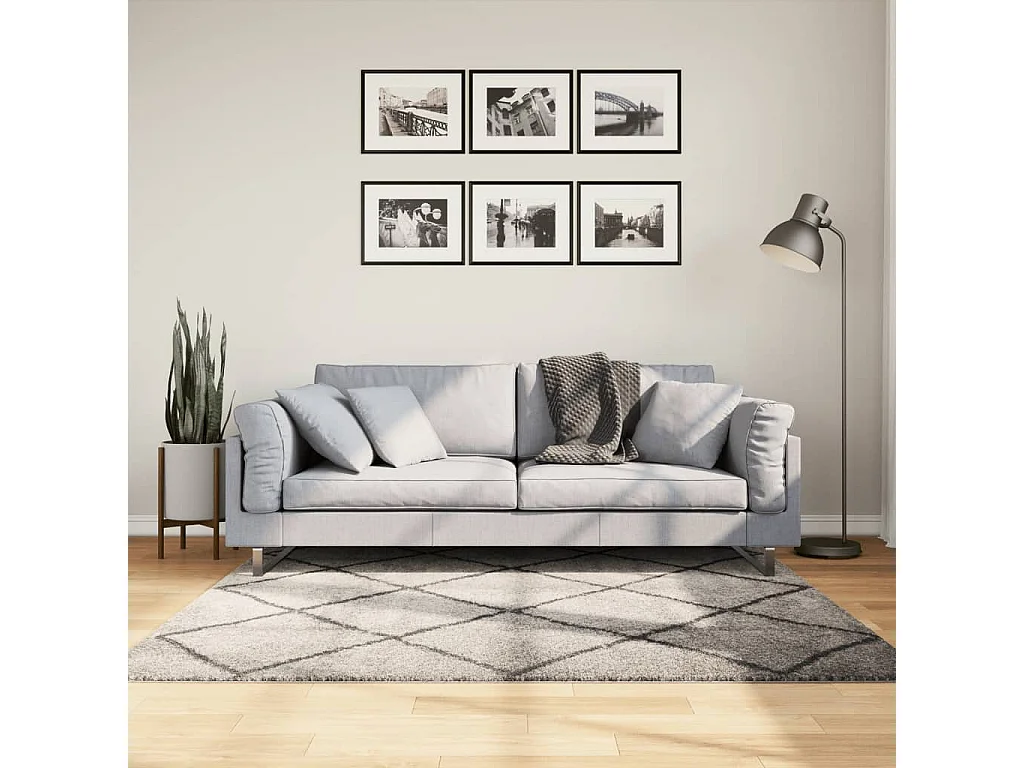 Tapis shaggy à poils longs moderne beige anthracite 160x160