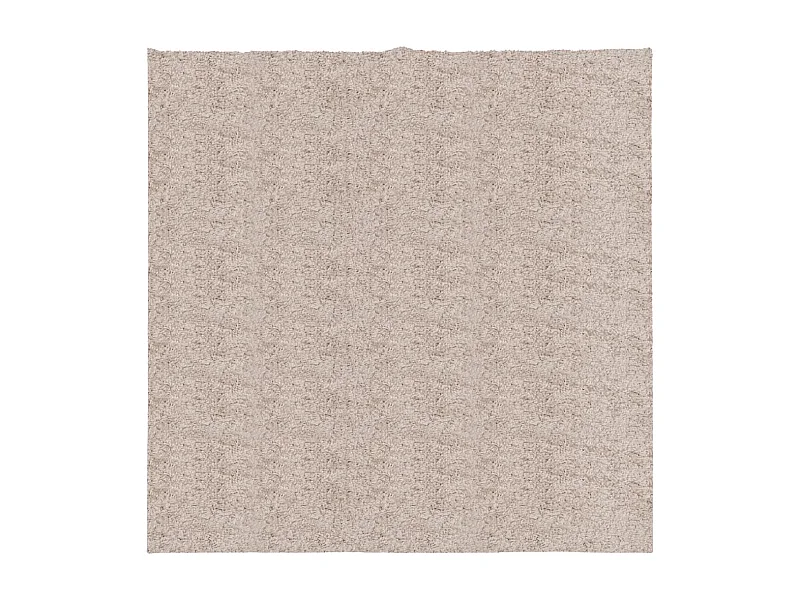 Tapis shaggy à poils longs moderne beige 160x160