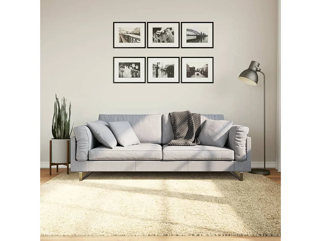 Vloerkleed PAMPLONA shaggy hoogpolig modern 200x200 cm goud