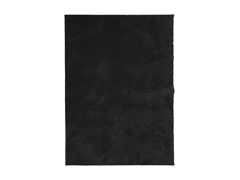 Tapis HUARTE à poils courts doux et lavable noir 120x170