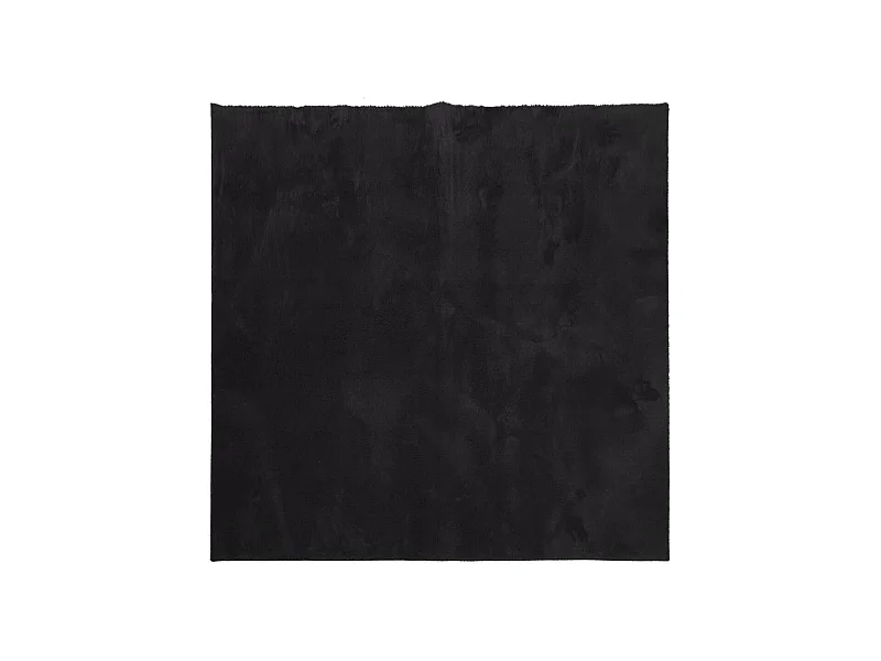 Tapis HUARTE à poils courts doux et lavable noir 240x240