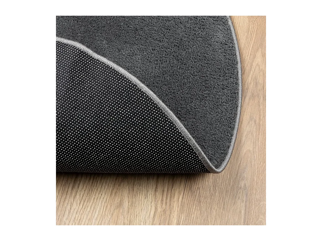 vidaXL Alfombra de pelo corto OVIEDO gris antracita Ø 120 cm