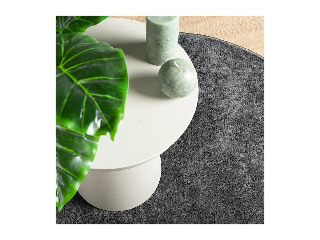 vidaXL Alfombra de pelo corto OVIEDO gris antracita Ø 120 cm