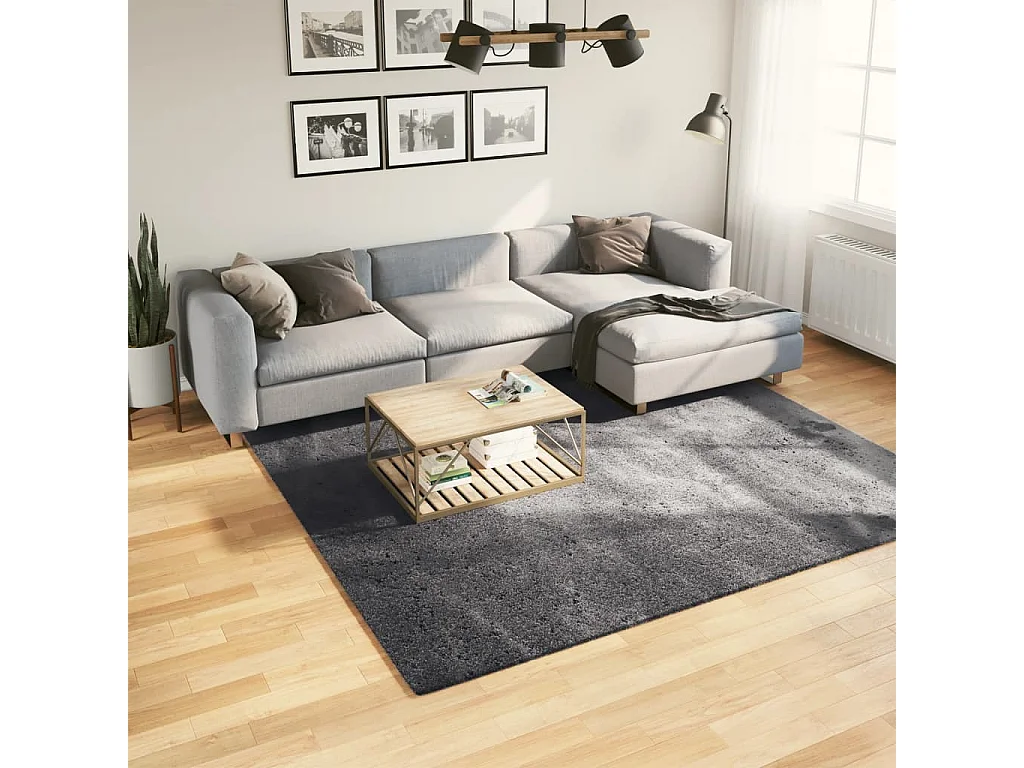 Tapis HUARTE à poils courts doux lavable anthracite 240x240