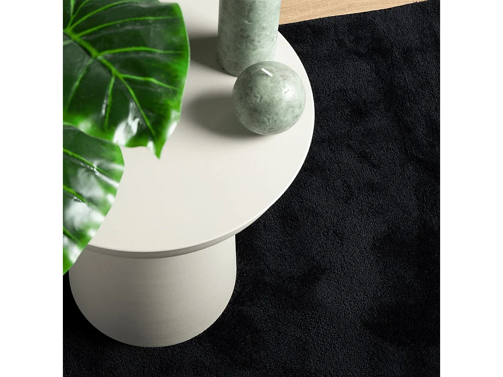 Vloerkleed OVIEDO laagpolig 80x150 cm zwart