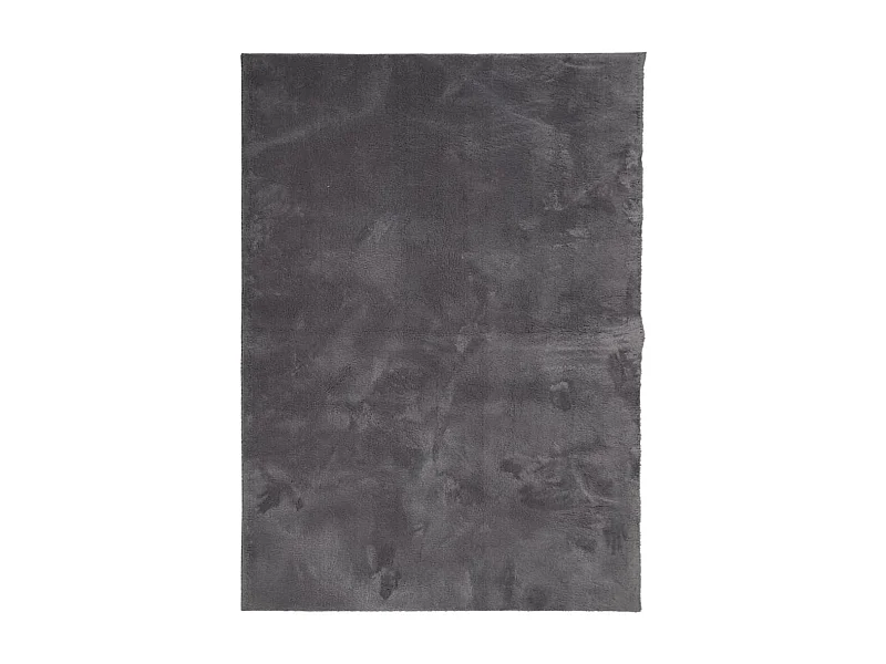 Tapis HUARTE à poils courts doux lavable anthracite 240x340