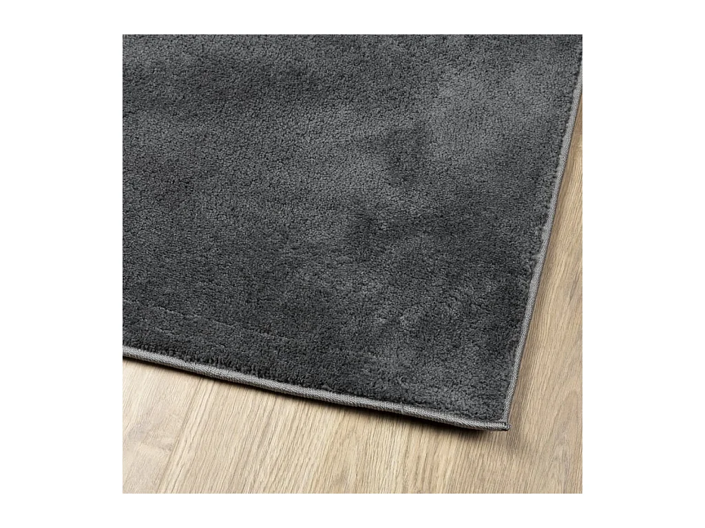 Tapis OVIEDO à poils courts anthracite 140x200