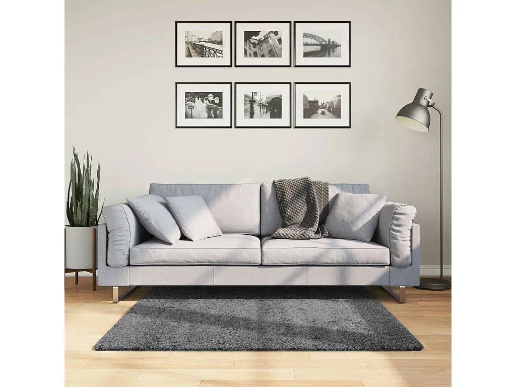 Tapis OVIEDO à poils courts anthracite 120x120