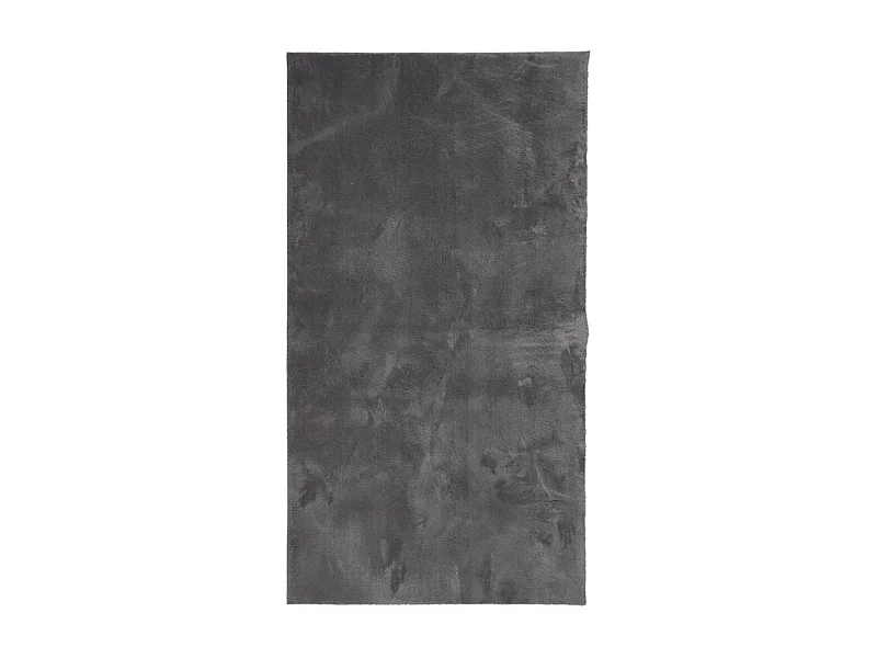 Tapis HUARTE à poils courts doux et lavable anthracite 80x150