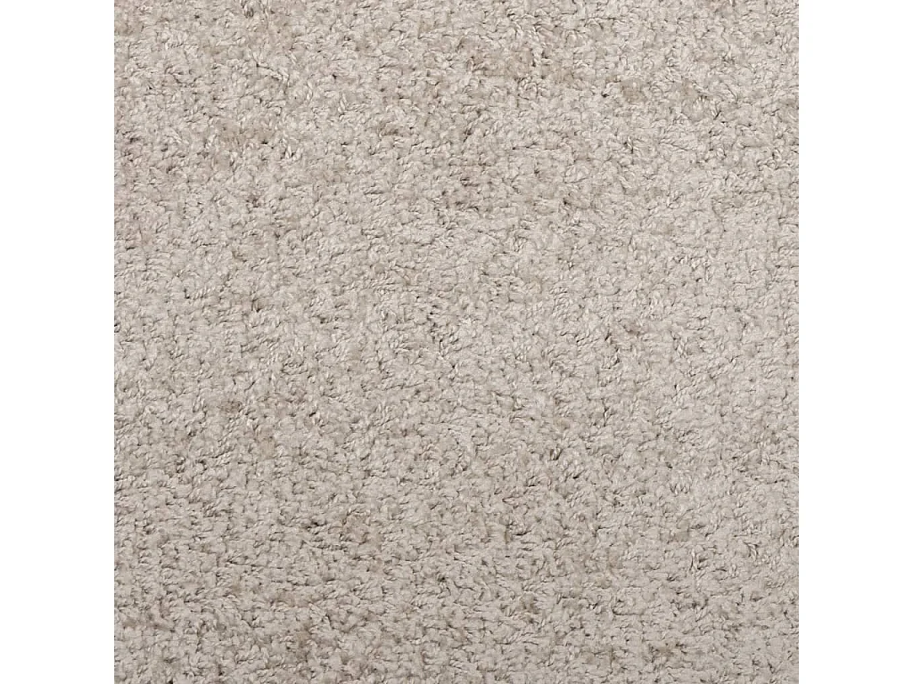 Tapis shaggy à poils longs moderne beige 100x200