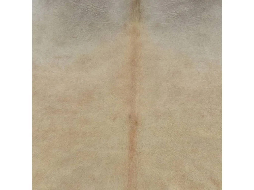Tapis en peau de vache véritable beige 180x220