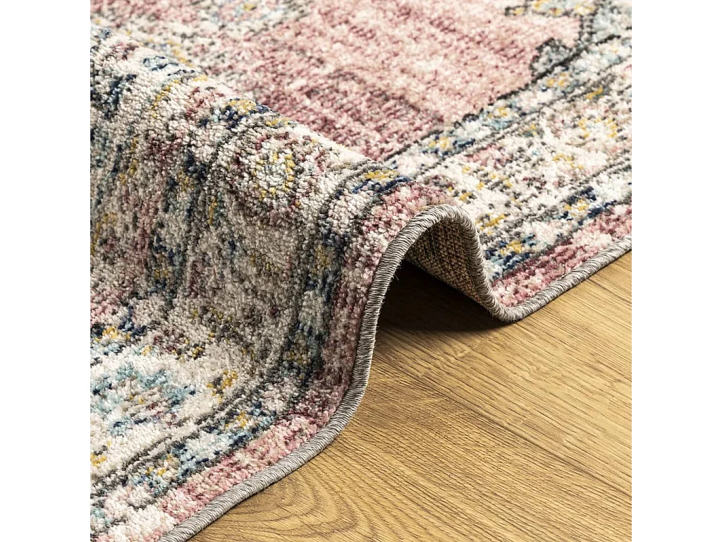 Tapis ARBIZU intérieur extérieur design vintage 80x250