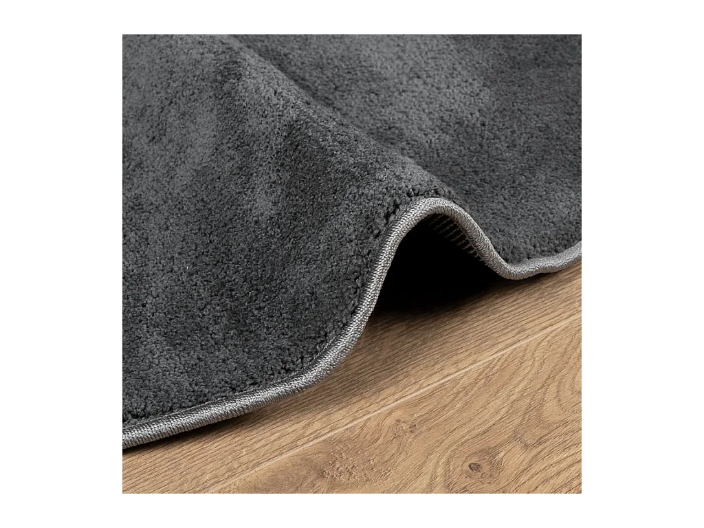 Tapis OVIEDO à poils courts anthracite Ø 200cm