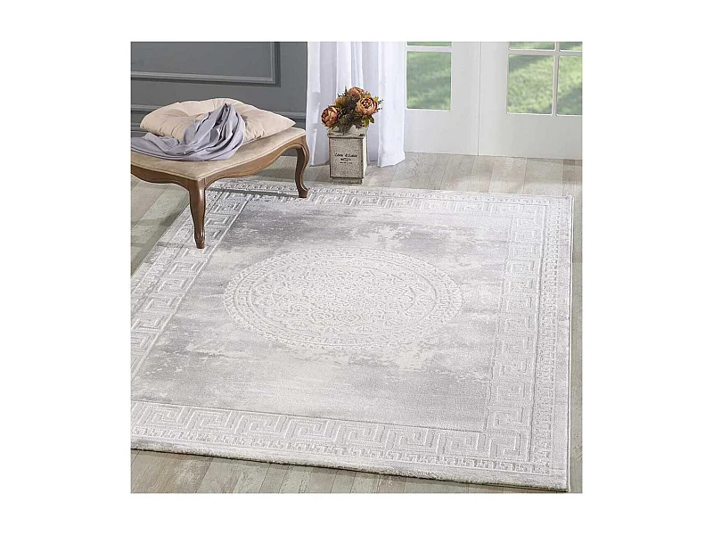 Tapis oriental 160x220 rectangle gris clair tissé motif ancestral LYN7 ALAN