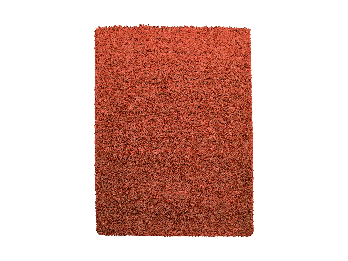 Tapis poils longs shaggy 100x200 rectangle tissé terra motif uni UNI L